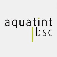 Aquatint BSC Ltd 855145 Image 0