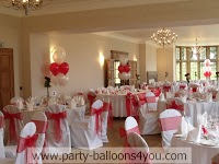 Balloons and Chair Cover Hire Bristol 844648 Image 0