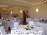 Balloons and Chair Cover Hire Bristol 844648 Image 5