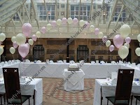 Balloons and Chair Cover Hire Bristol 844648 Image 6