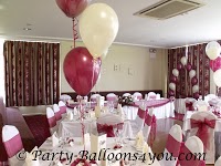 Balloons and Chair Cover Hire Bristol 844648 Image 7