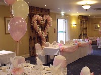 Balloons and Chair Cover Hire Bristol 844648 Image 8
