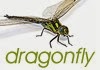 Dragonfly Design, Print and Web Development 842510 Image 1